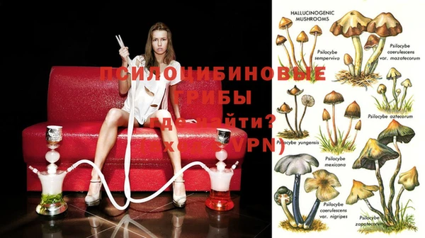 соль курить ск Богданович