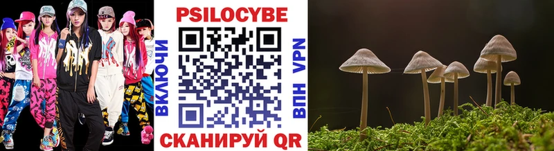 закладка  Королёв  Псилоцибиновые грибы Psilocybe 